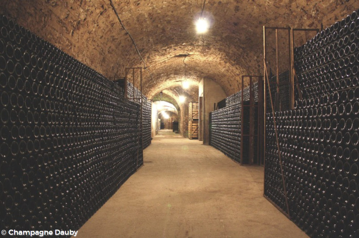 Champagne Dauby cellar in Aÿ