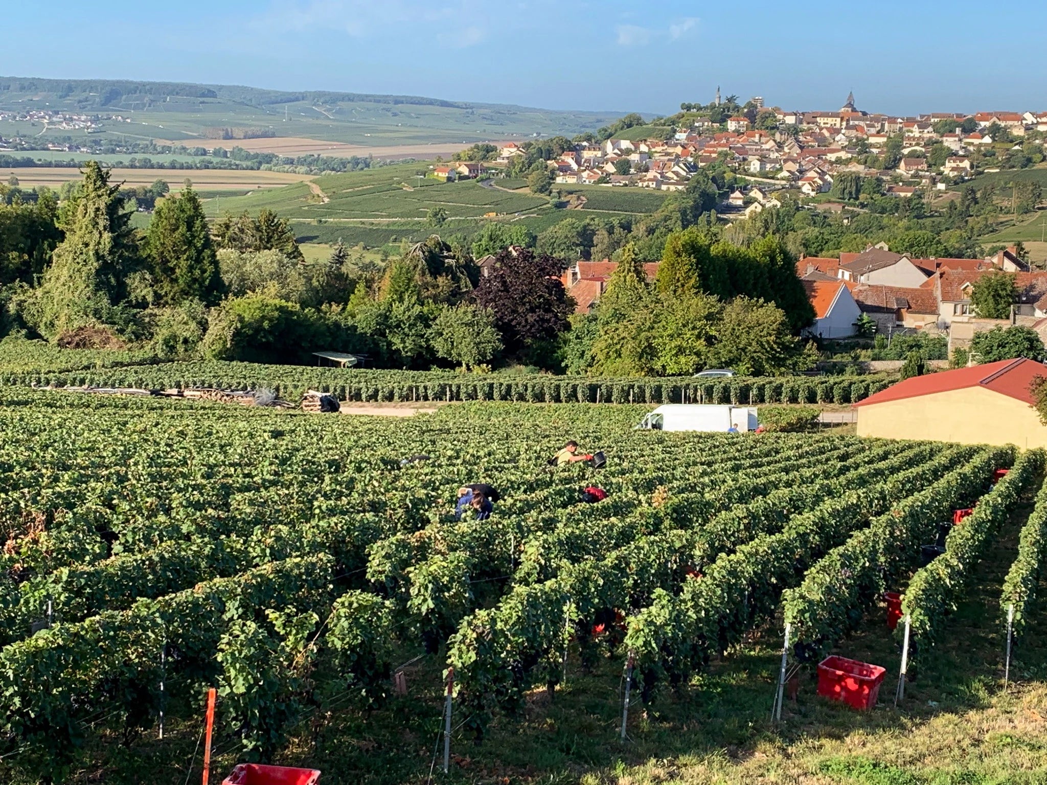 Champagne Charlier et Fils. Familieejet hus i Montigny‑sous‑Châtillon i Vallée de la Marne