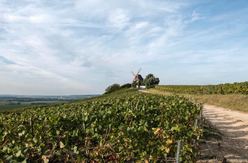 vineyard, vinmarker, grønt, vindmølle